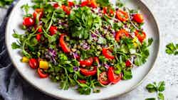 Raw Sprouted Lentil Salad