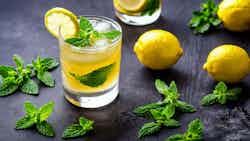 Syrian Mint Lemonade (Limonada bi Na'na)
