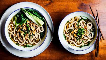 Buddha's Feast Udon Noodle Soup