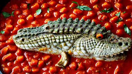Crocodile In Tomato Sauce (delectable Ibihaza)