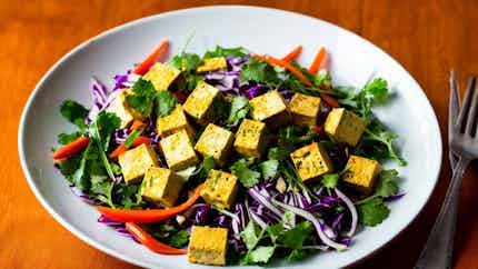 Htamin Jin Thoke (spicy Shan Tofu Salad)