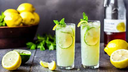 Lübeck's Lemonade Fizz: Sparkling Lemonade With Mint And Lime