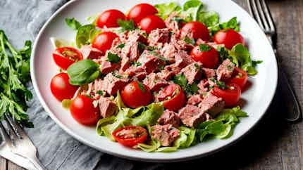 Leonese-style Tuna and Tomato Salad (Ensalada de Atún y Tomate a la Leonés)