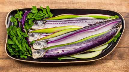 North Sea Delight: Smoked Herring Salad