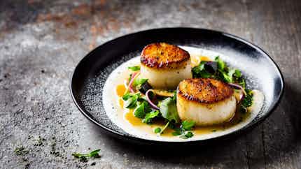 Orkney Islands Scallops With Black Pudding