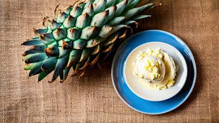 Pineapple And Coconut Ice Cream
