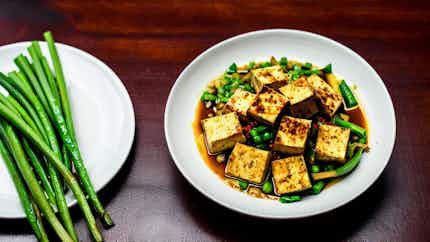 Spicy Tofu (麻辣豆腐)
