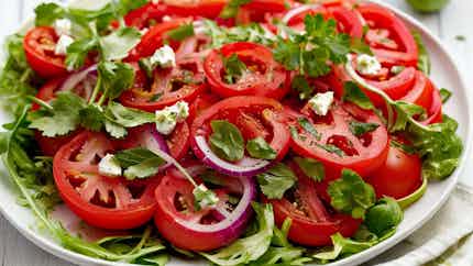 Tomato and Onion Salad (Salade de Tomates et d'Oignons)