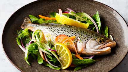 Towy Valley Trout With Fennel And Citrus Salad