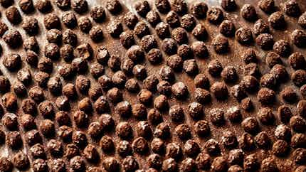 Trufes De Xocolata Andorranes (andorran Chocolate Truffles)
